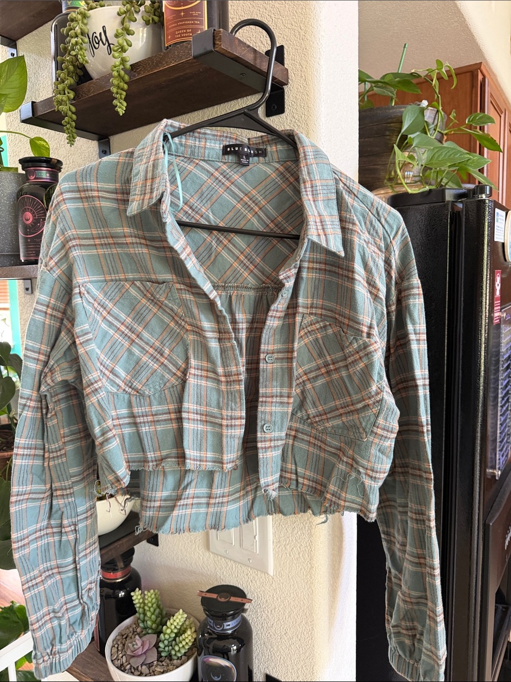 Buckle BlueBlush Cropped Plaid Button-Front Top in Light Teal and Cream
